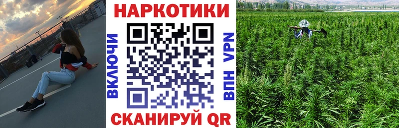 Какие есть наркотики Короча Гашиш Кокаин Альфа ПВП МЕФ