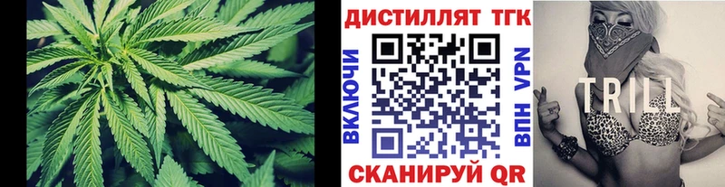 Дистиллят ТГК концентрат  Короча 