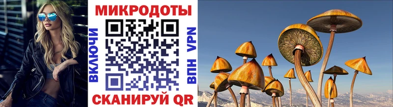 Псилоцибиновые грибы ЛСД  Короча 